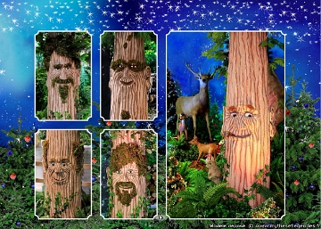 (13) - Father Christmas Forest